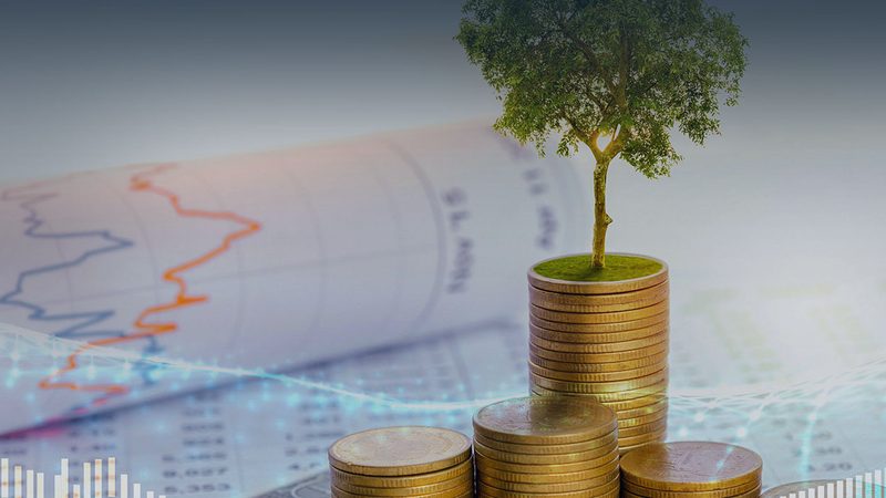 快消品企业内训咨询，如何构建高效流程？**